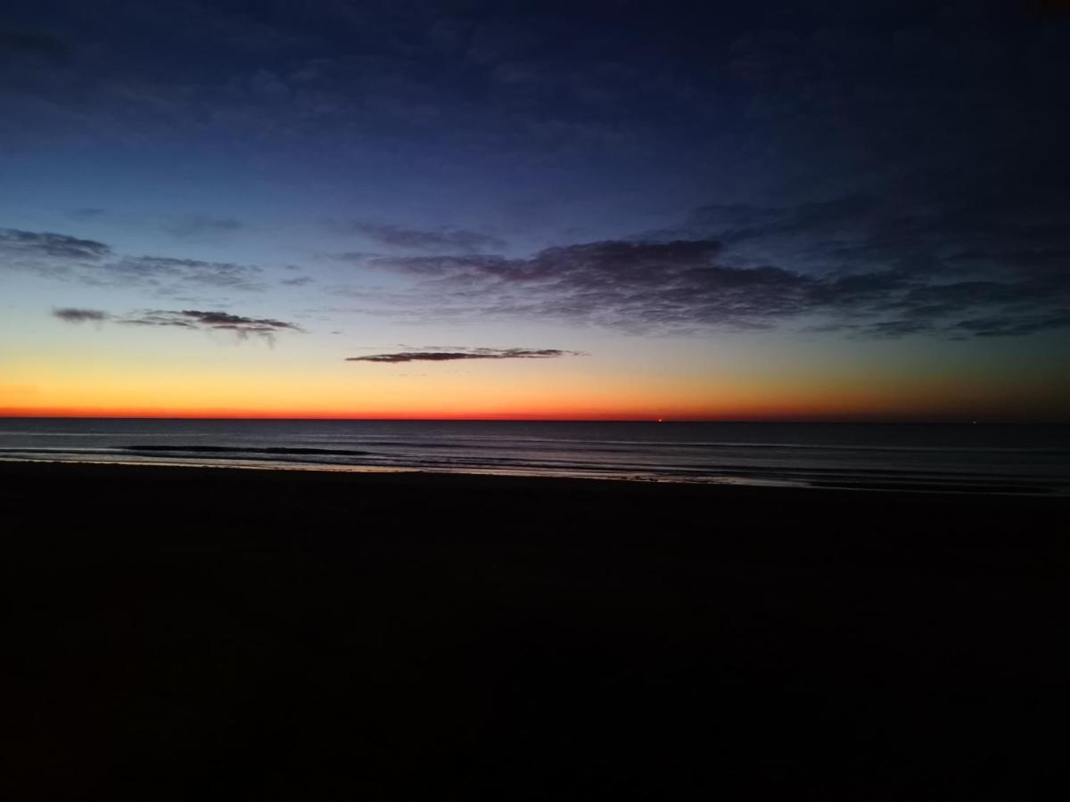 Nieuw Strand Petten Eksteriør billede