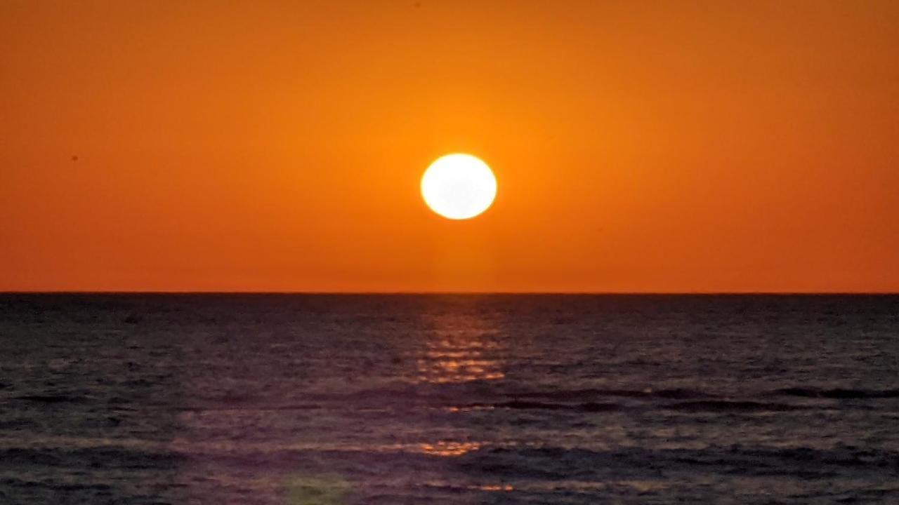 Nieuw Strand Petten Eksteriør billede